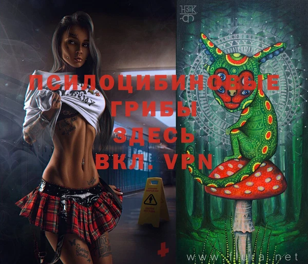 молекула духа Алзамай