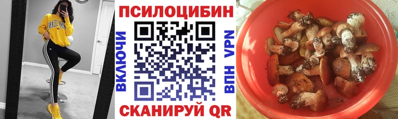 закладка  Минусинск  блэк спрут ТОР  Псилоцибиновые грибы MAGIC MUSHROOMS 